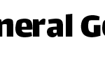 جنرال گلد (4) 